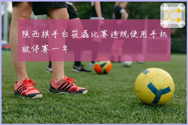 陕西棋手白筱磊比赛违规使用手机被停赛一年
