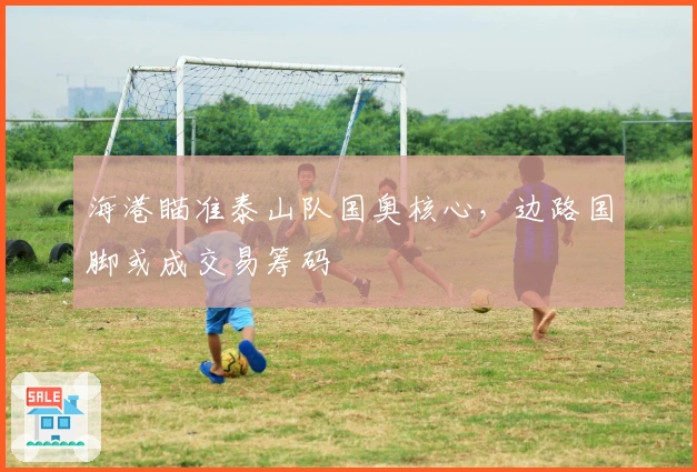 海港瞄准泰山队国奥核心，边路国脚或成交易筹码